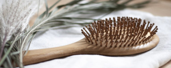 brosse en Bambou